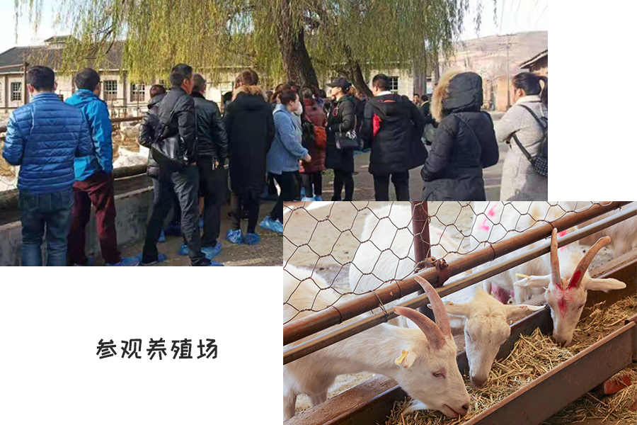 w66.利来(中国区)_来利国际旗舰厅