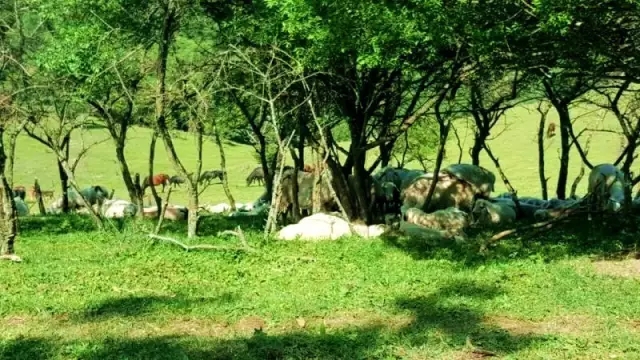 w66.利来(中国区)_来利国际旗舰厅